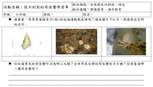 找不到家的寄居蟹