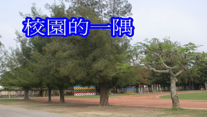 校園的一隅縮圖