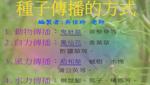 種子的傳播方式