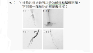 100學年度三上自然期中考題目卷