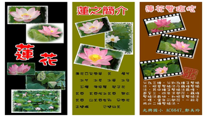 蓮花書籤縮圖