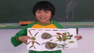 樹葉貼畫16縮圖