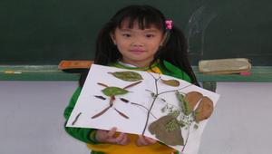 樹葉貼畫14縮圖