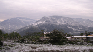 信義鄉的三月雪-1縮圖