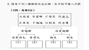 自然段考試卷