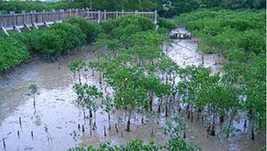 發現濕樂園-認識濕地ppt