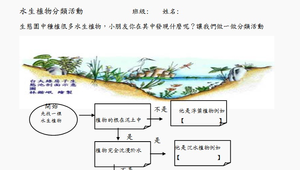 水生植物學習單