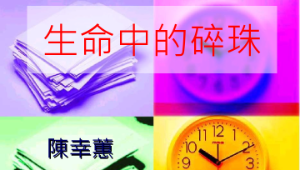 生命中的碎珠