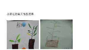 小野花的春天-資源代表圖