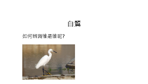 白鷺縮圖