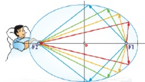 教學活動表(教案)縮圖