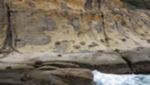 野柳岬-截切砂岩的節理與砂岩中的結核
