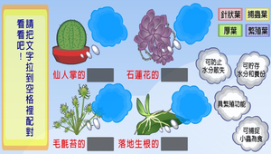 植物的構造與功能-特殊葉的形態和功能