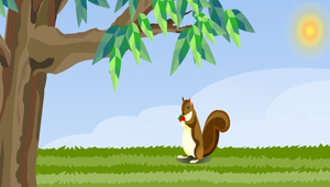 植物的構造與功能-主題教室-資源代表圖