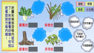 植物的構造與功能-特殊根的形態和功能