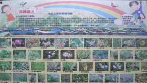 深澳小偵探