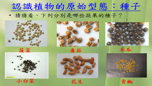 種植植物的事前準備與認識-資源代表圖