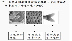 四上自然第二次評量試題