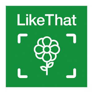 LikeThat Garden-資源代表圖