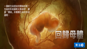 回歸母體縮圖