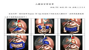 人體器官學習單