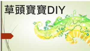 草頭寶寶DIY