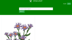 openclipart圖庫：Aster des Pyrenees-資源代表圖