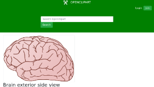openclipart圖庫：Brain exterior side view-資源代表圖