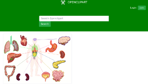 openclipart圖庫：Organs of the human body縮圖