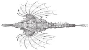 Eurypegasus draconis (寬海蛾魚)縮圖