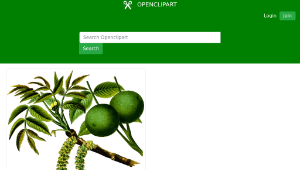 openclipart圖庫：Walnut tree 2 (Detailed)