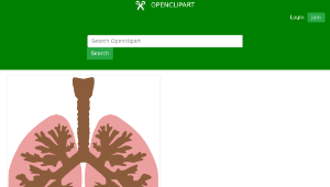 openclipart圖庫：Lungs and bronchus-資源代表圖