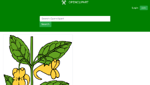 openclipart圖庫：KU impatiens aurella縮圖