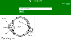 openclipart圖庫：Eye diagram