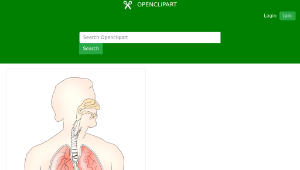 openclipart圖庫：respiratory system 2-資源代表圖