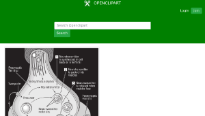 openclipart圖庫：Diagram of synapse-資源代表圖