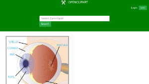 openclipart圖庫：eye with labels