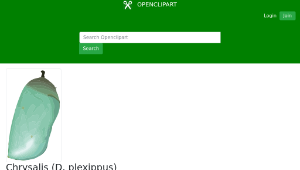 openclipart圖庫：Chrysalis (D. plexippus)-資源代表圖