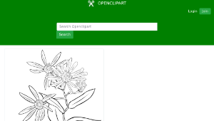 openclipart圖庫：Aster Conspicuus-資源代表圖