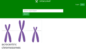 openclipart圖庫：acrocentric chromosomes縮圖