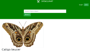 openclipart圖庫：Caligo teucer 縮圖