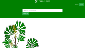openclipart圖庫：Palm-Raphis-01-資源代表圖