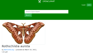 openclipart圖庫：Rothschildia aurota 縮圖