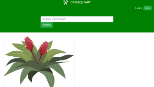 openclipart圖庫：bromelia-資源代表圖