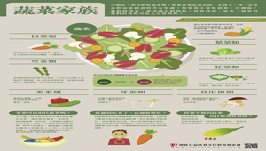 【灃食教育基金會-良食圖譜】蔬菜家族