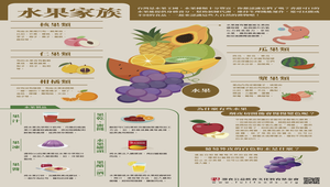 【灃食教育基金會-良食圖譜】水果家族
