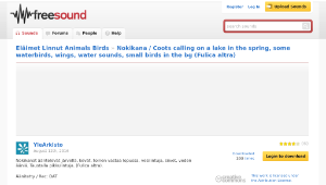 Freesound聲音庫：Nokikana / Coots calling on a lake in the spring, some waterbirds, wings, water sounds, small birds縮圖