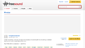 Freesound聲音庫：Bluejay-資源代表圖