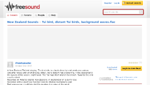 Freesound聲音庫：Tui bird, distant Tui birds, background waves.flac-資源代表圖