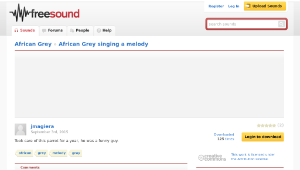 Freesound聲音庫：African Grey singing a melody